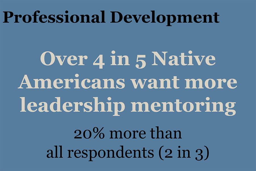 My Experience - Professional Development. Over 4 in 5 Native Americans want more leadership mentoring.